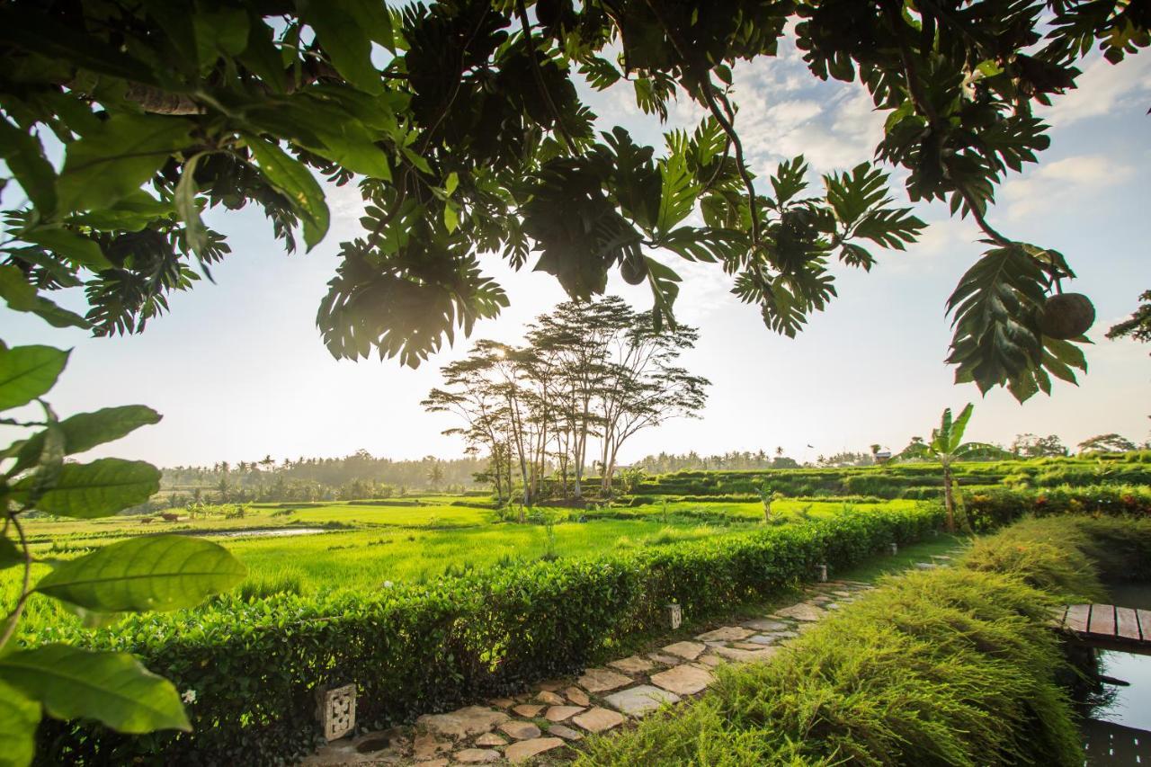 Griya Kcb Villa Ubud Mas  Exterior foto